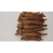 Bulk Supply Crude Medicine Panax Ginseng Organic Red Ginseng Root